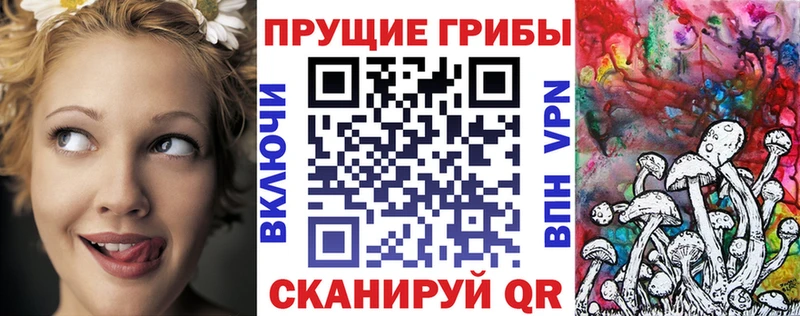 Галлюциногенные грибы мухоморы  mega зеркало  Алейск  где продают наркотики 