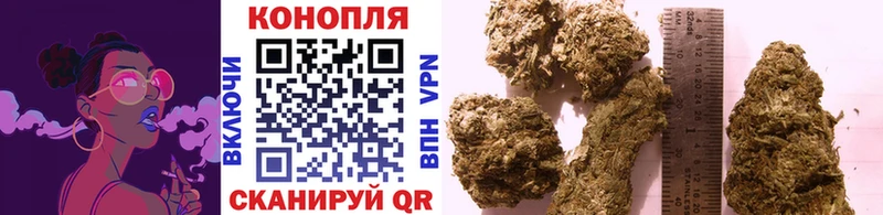 Бошки Шишки Amnesia  Алейск 